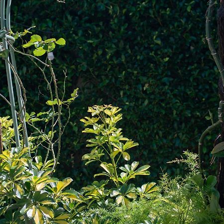 Le Soleil Boutique Hotel Da Lat Zewnętrze zdjęcie