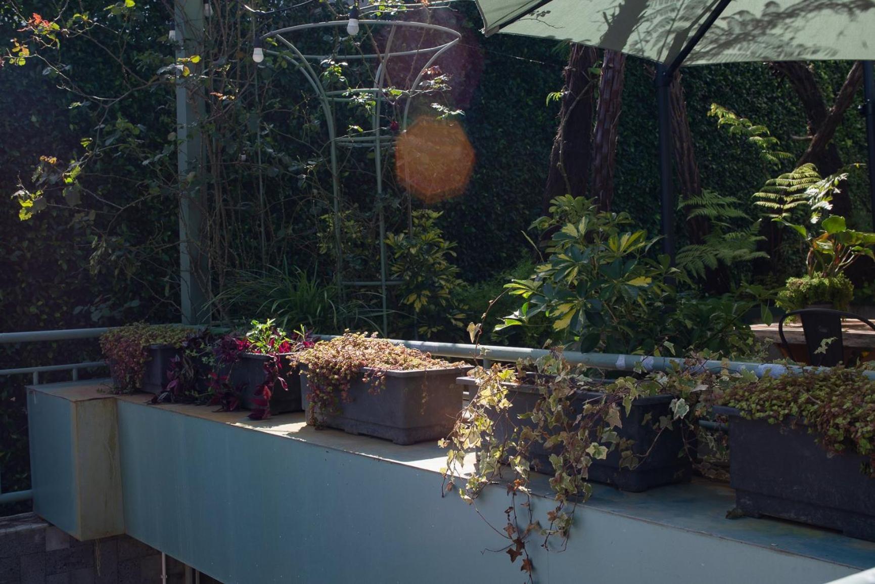 Le Soleil Boutique Hotel Da Lat Zewnętrze zdjęcie