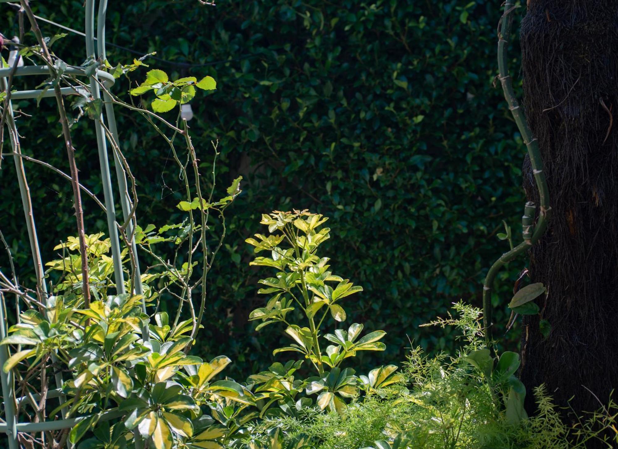 Le Soleil Boutique Hotel Da Lat Zewnętrze zdjęcie