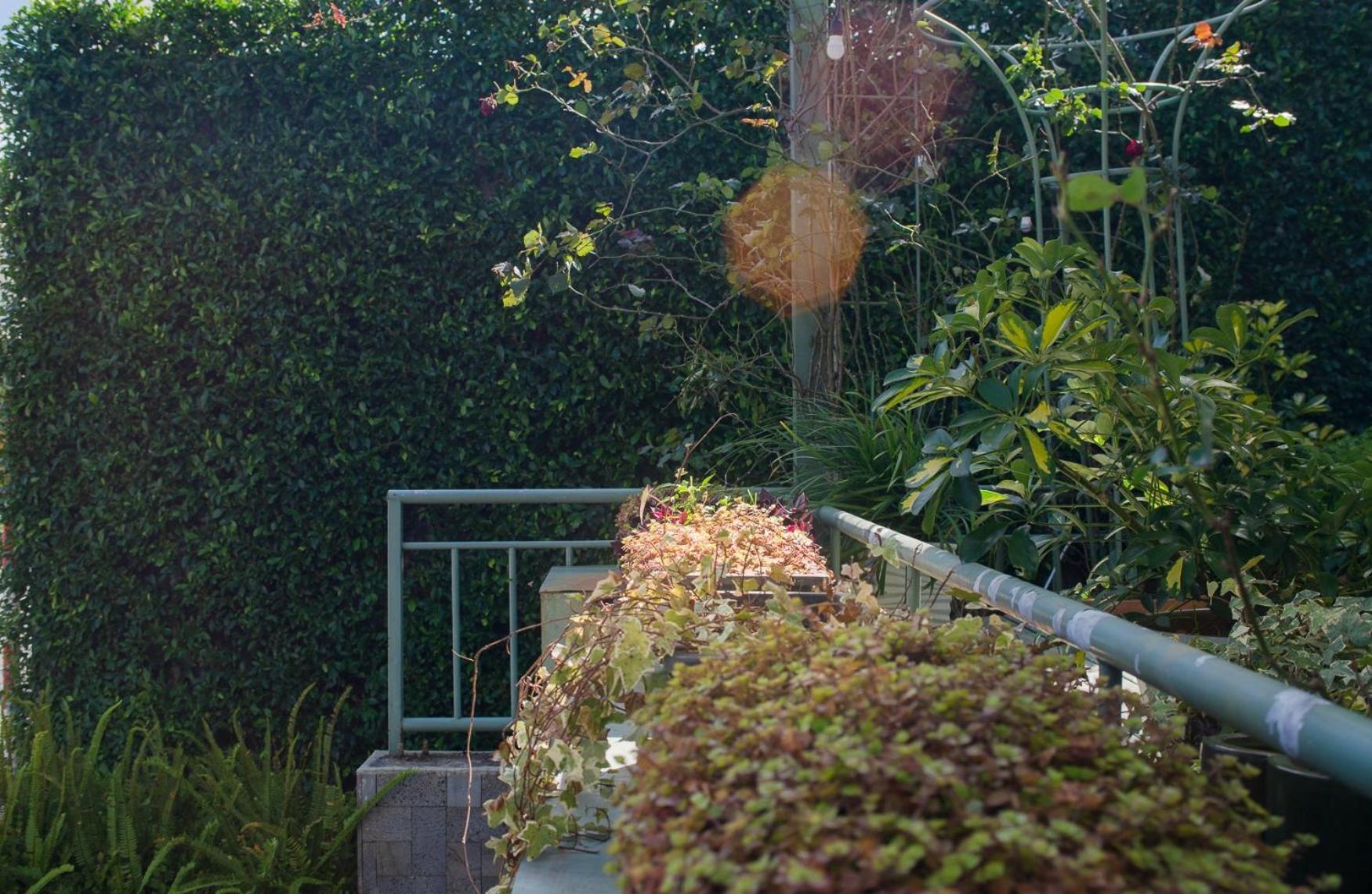 Le Soleil Boutique Hotel Da Lat Zewnętrze zdjęcie