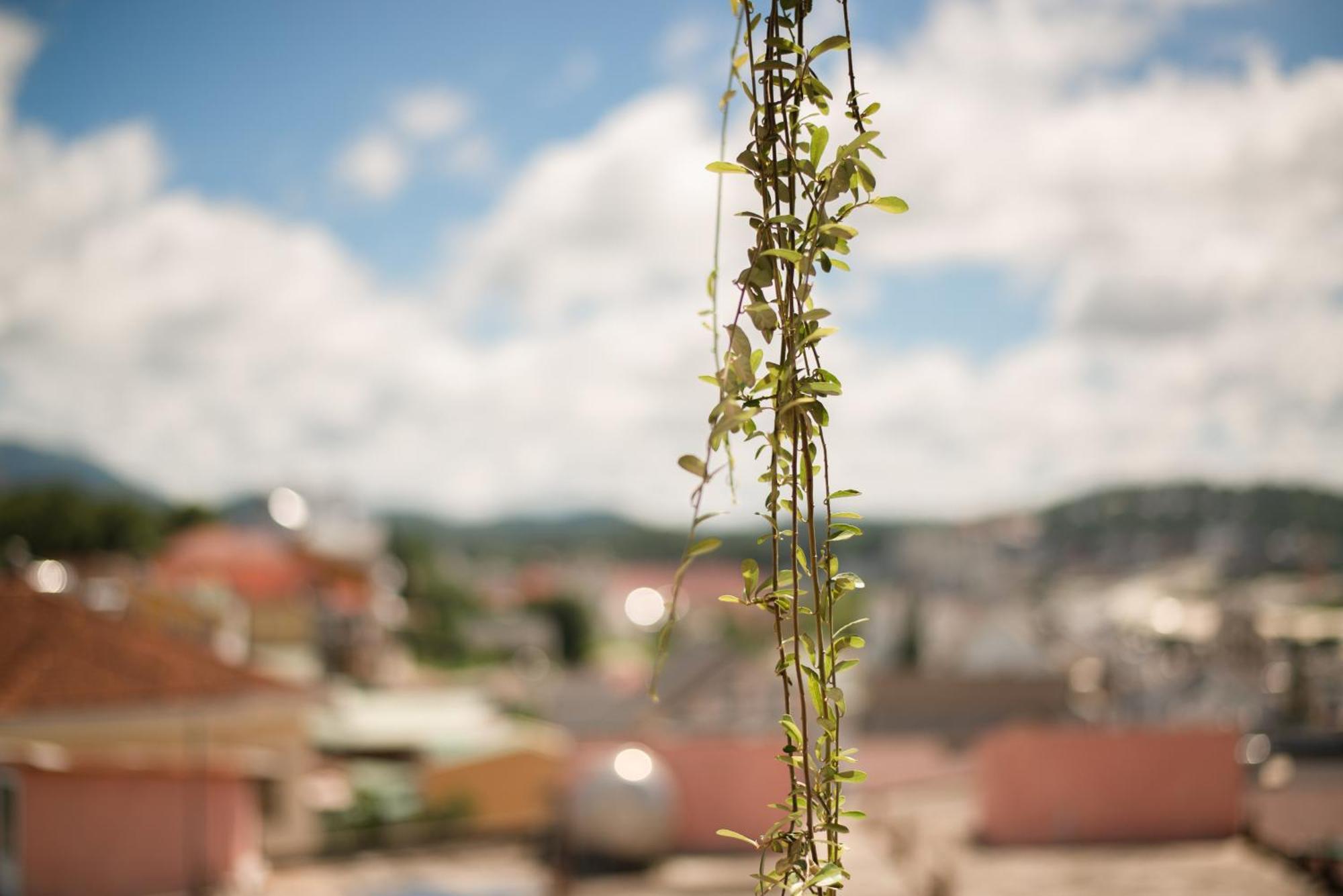 Le Soleil Boutique Hotel Da Lat Zewnętrze zdjęcie
