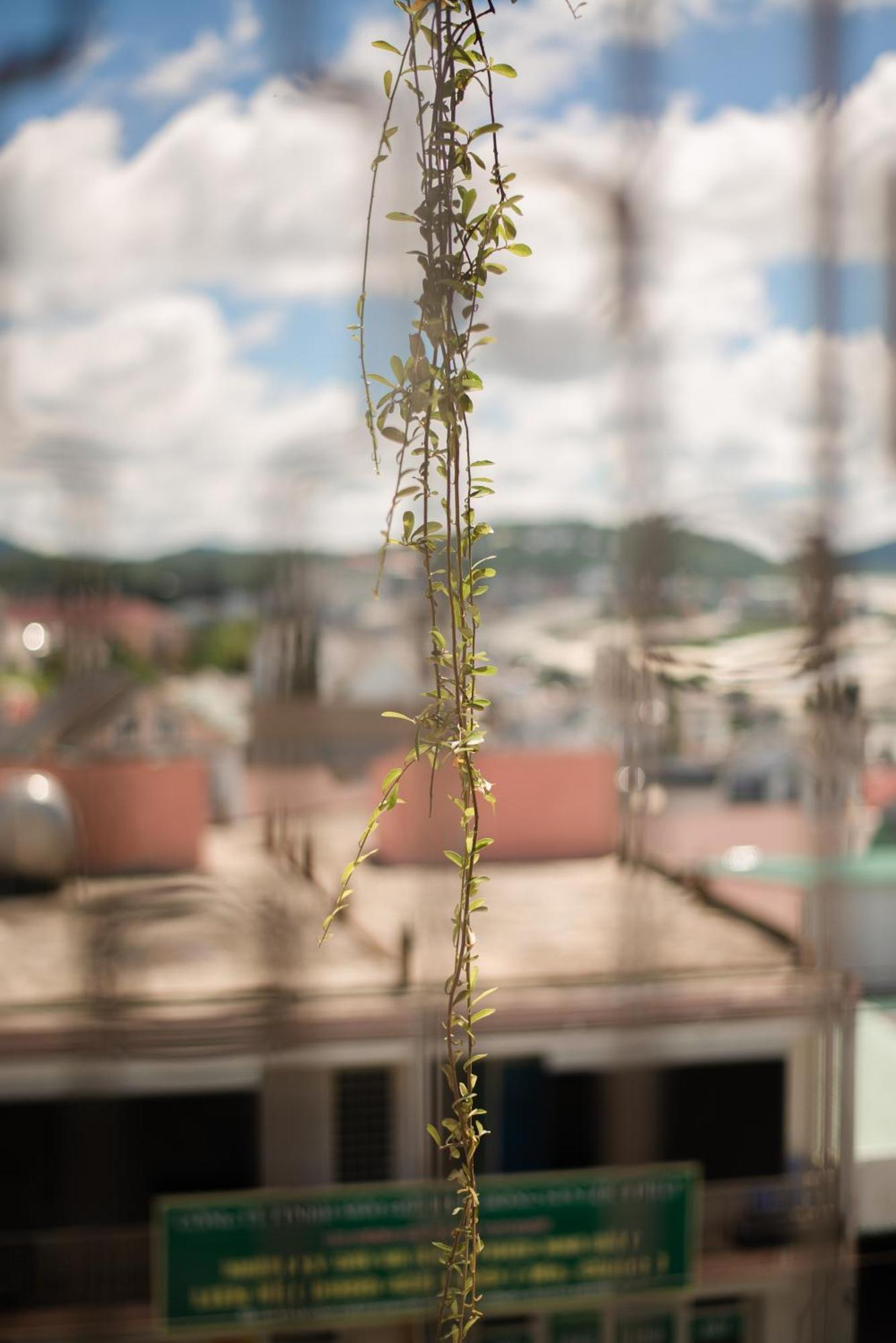 Le Soleil Boutique Hotel Da Lat Zewnętrze zdjęcie