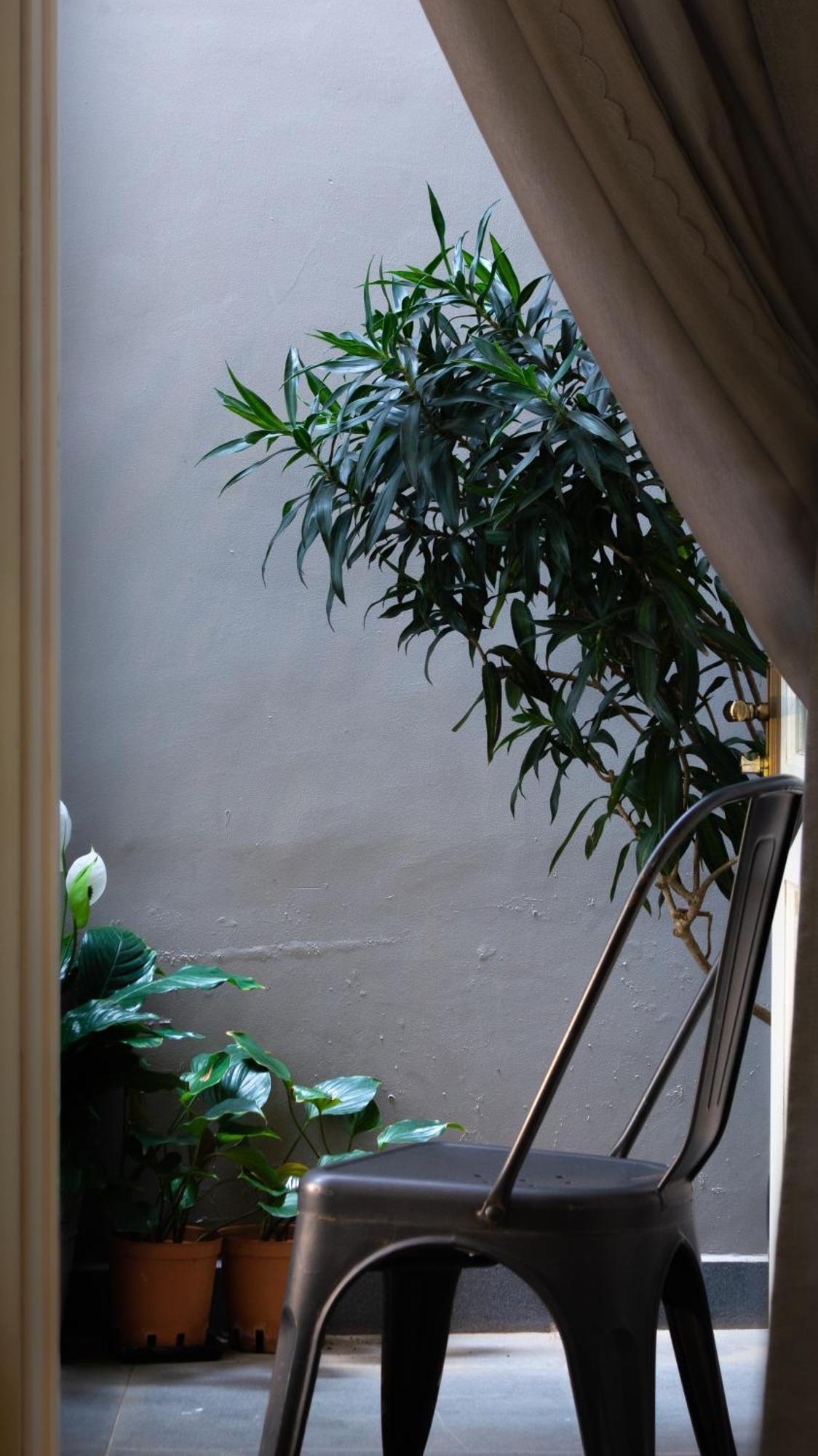 Le Soleil Boutique Hotel Da Lat Zewnętrze zdjęcie